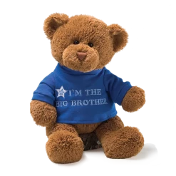 GUND Message Bear Big Brother Plush Toy Chocolate 32cm