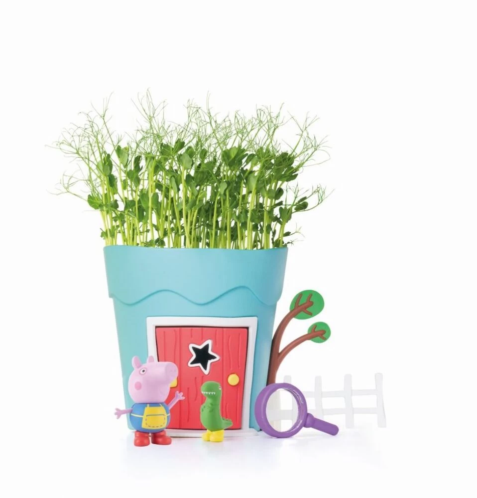 Peppa Pig Grow & Play George Pots Pea Seeds 4 Peppa Pig Grow & Play George Pots Pea Seeds - Image 2